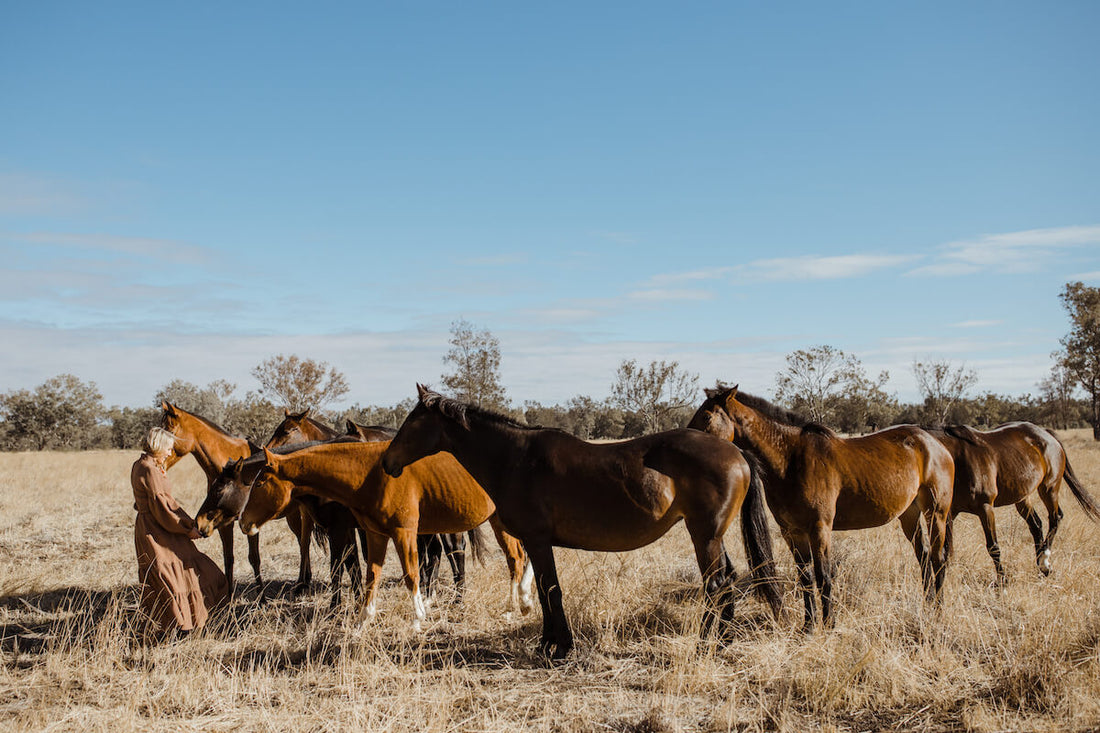 Meet Bridget Coulton from Bush Exchange