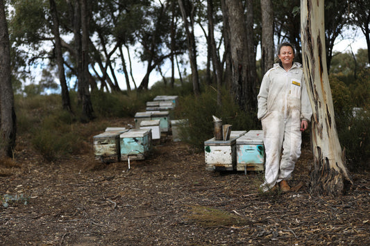 Lifelong bee obsession becomes Sweet Justice